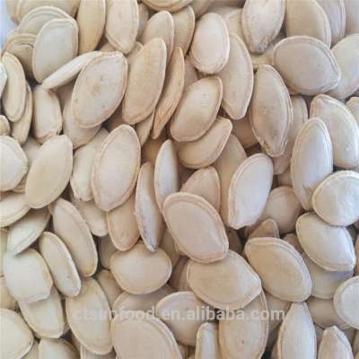 2019 new crop shine skin pumpkin seeds yellow color cheap price salted roasted